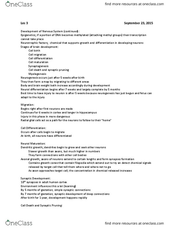 PSYB65H3 Lecture Notes - Lecture 3: Synaptic Pruning, Radial Glial Cell, Neuroglia thumbnail