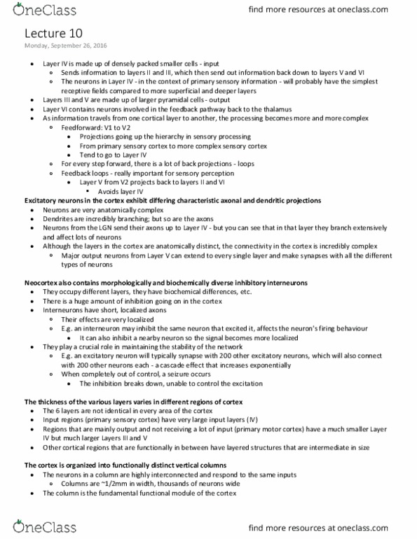 ANAT 321 Lecture Notes - Lecture 10: Postcentral Gyrus, Excitatory Synapse, Sensory Cortex thumbnail