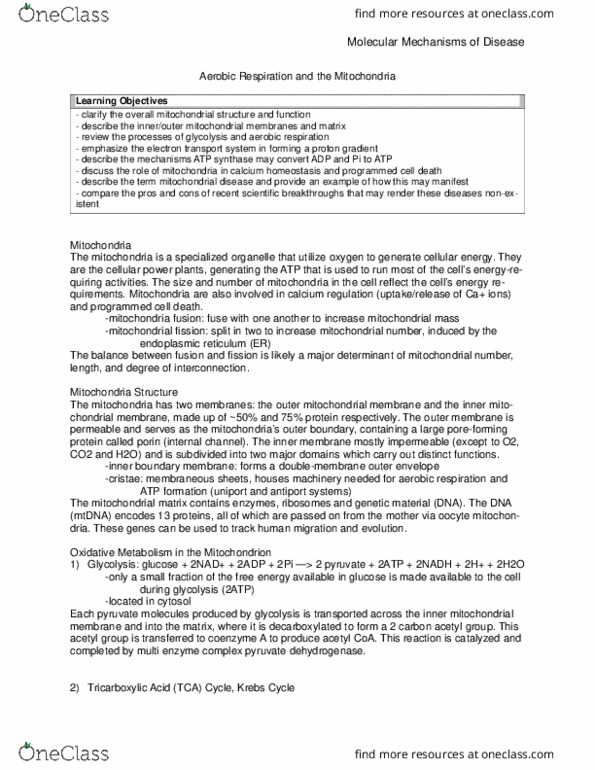 HSS 2305 Lecture Notes - Lecture 4: Atp Synthase, Mitochondrial Fission, Acetyl-Coa thumbnail