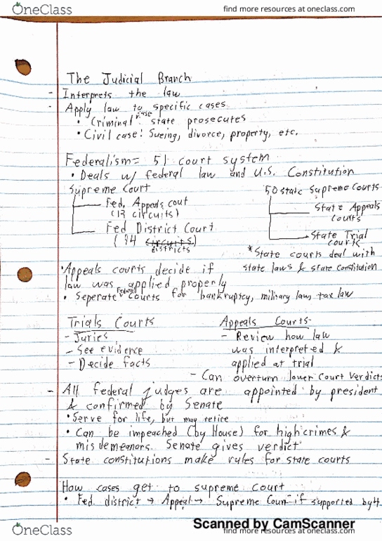 POLS 120 Lecture 5: Judicial Notes thumbnail