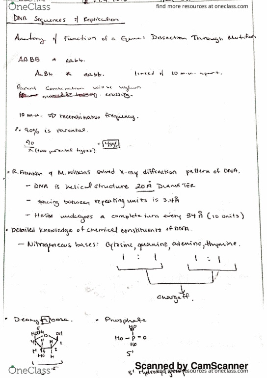 BSC 315 Lecture 6: DNA Sequences and Replication thumbnail