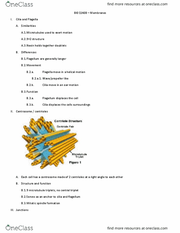 BIO 1140 Chapter Notes - Chapter 4: Fluid Mosaic Model, Spindle Apparatus, Centrosome thumbnail
