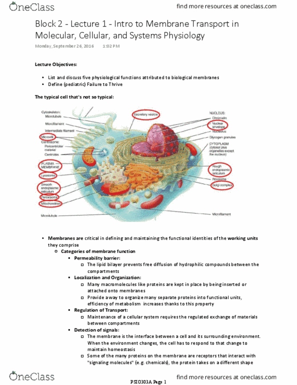 document preview image