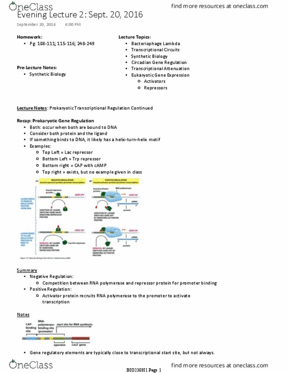 BIO230H1 Lecture Notes - Lecture 2: Lambda Phage, Lac Repressor, Rna-Seq thumbnail