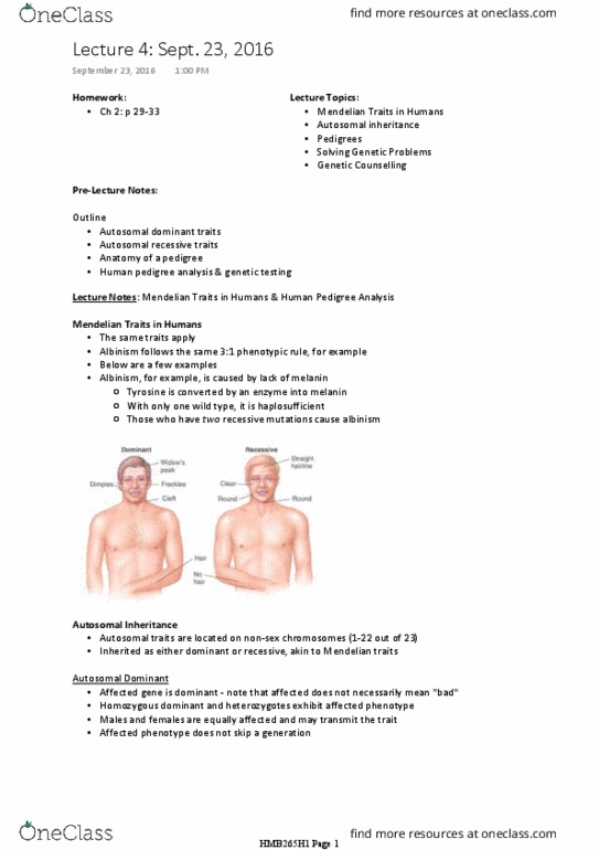 HMB265H1 Lecture 4: Mendelian Traits in Humans & Human Pedigree Analysis (Sept. 23, 2016) thumbnail
