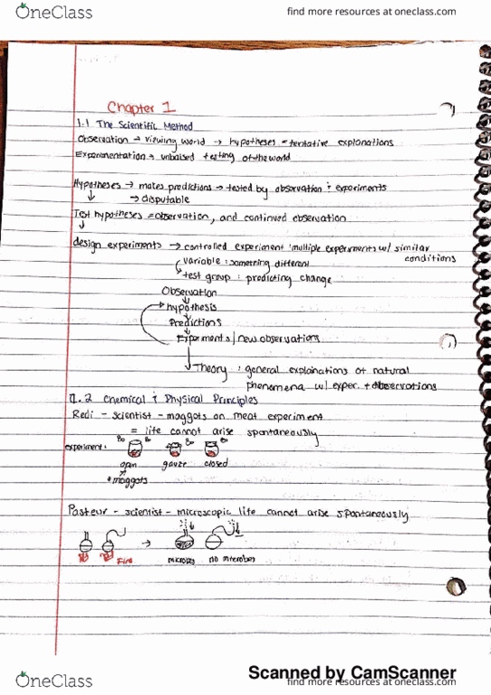 BIOL 1107 Chapter 1: Scientific Method + Experiments + the Cell thumbnail