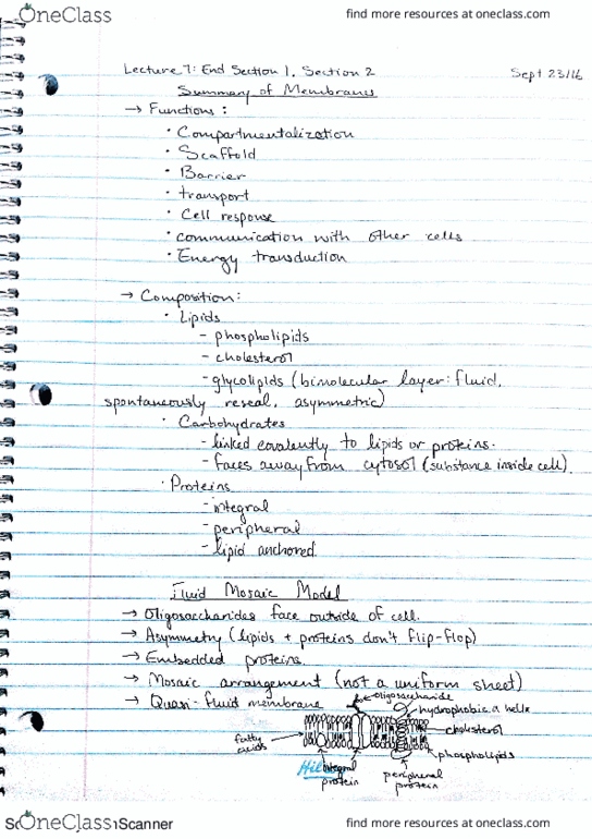 BIOL 2020 Lecture 7: End Section 1, Section 2 thumbnail