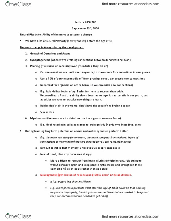 PSY 105 Lecture Notes - Lecture 7: Postcentral Gyrus, Frontal Lobe, Nougat thumbnail