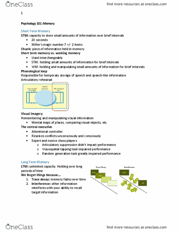 PSYC 101 Lecture Notes - Lecture 5: Short-Term Memory thumbnail