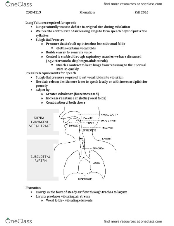 CDIS 4213 Lecture Notes - Lecture 8: Anatomical Terms Of Motion, Cricoid Cartilage, Phonation thumbnail