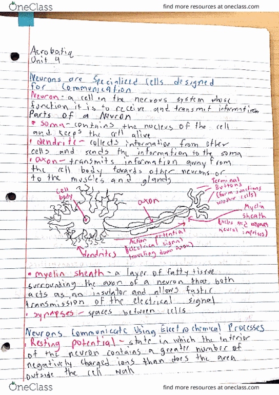 PSYS 001 Chapter Notes - Chapter 4: Neuroglia, Lordi, Emo thumbnail