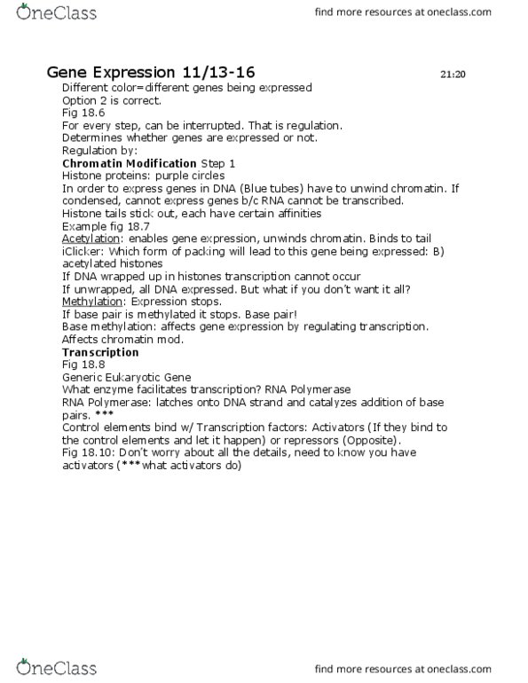 LIFE 102 Lecture Notes - Lecture 11: Competitive Inhibition, Repressor, Ubiquitin thumbnail