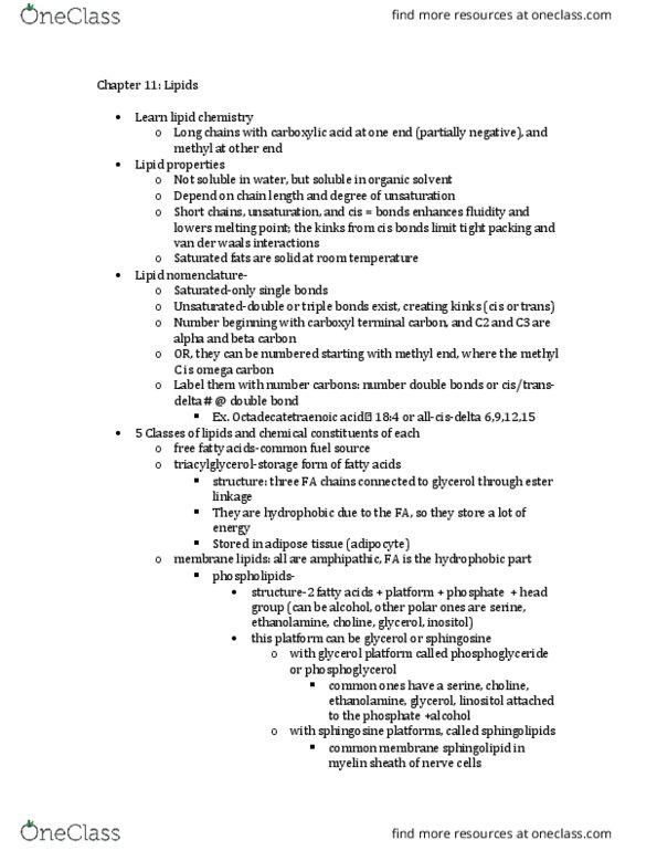 BIOC 3110 Lecture Notes - Lecture 11: Van Der Waals Force, Amphiphile, Phospholipid thumbnail