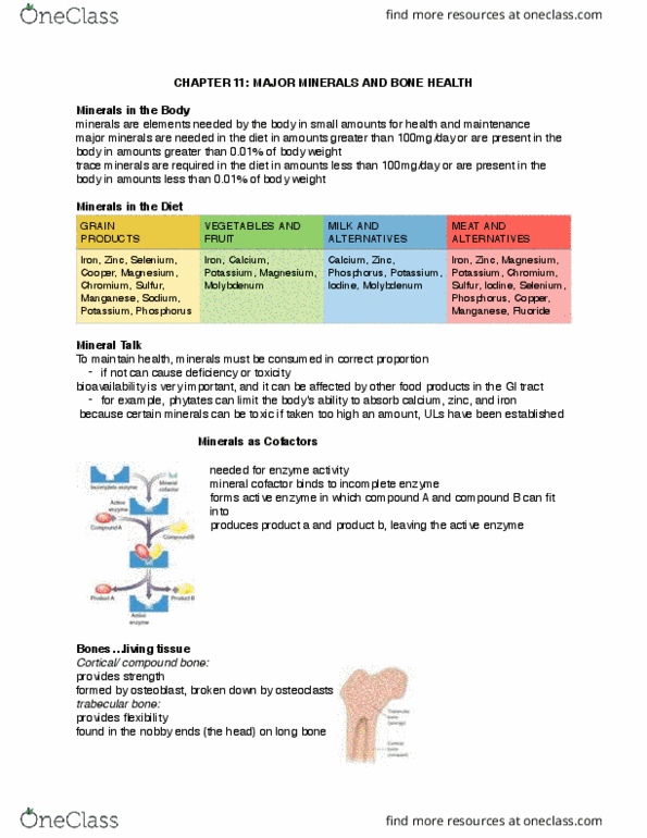 NUTR100 Chapter Notes - Chapter 11: Broccoli, Hypermagnesemia, Thiamine thumbnail