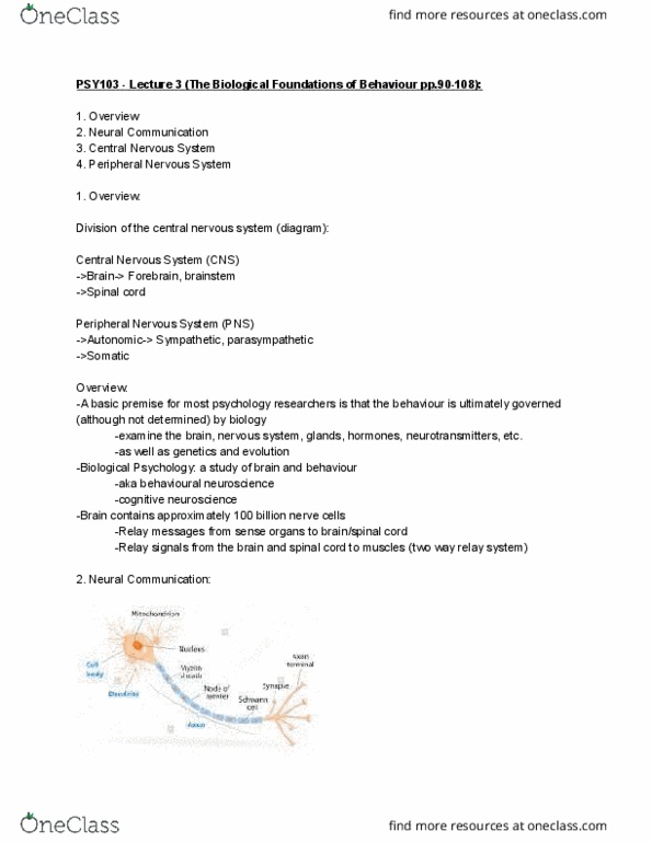 PSY 102 Lecture Notes - Lecture 3: Motor Planning, Schwann Cell, Corpus Callosum thumbnail