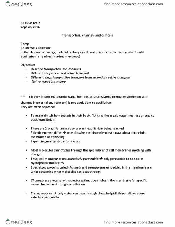 BIOB34H3 Lecture Notes - Lecture 8: Homeostasis, Hydrophile, Cytoskeleton thumbnail