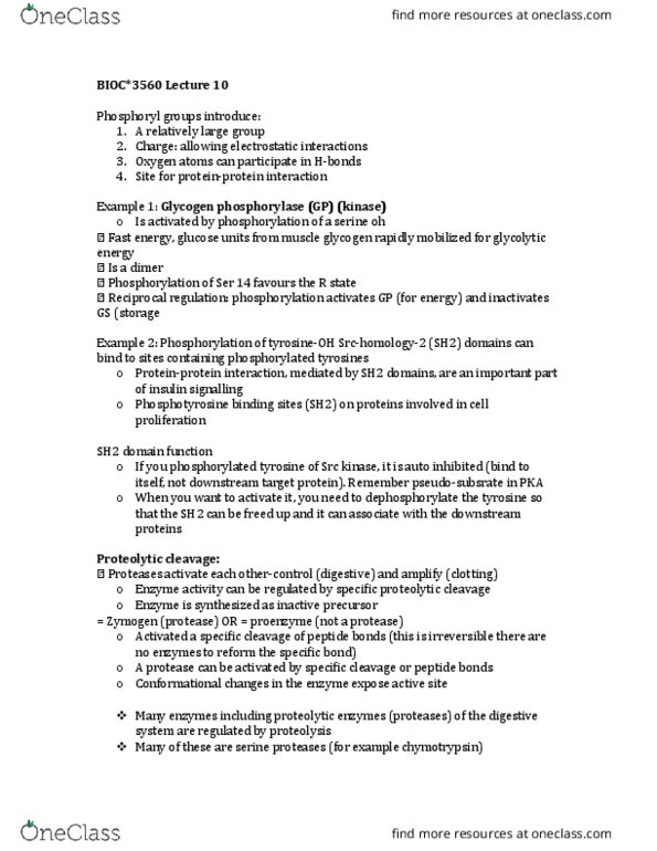 BIOC 3560 Lecture Notes - Lecture 10: Glycogen Phosphorylase, Dicoumarol, Amine thumbnail