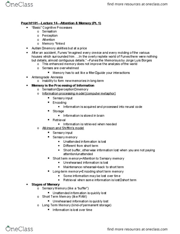 PSYCH 1101 Lecture Notes - Lecture 14: Information Processing, Jorge Luis Borges, Headphones thumbnail