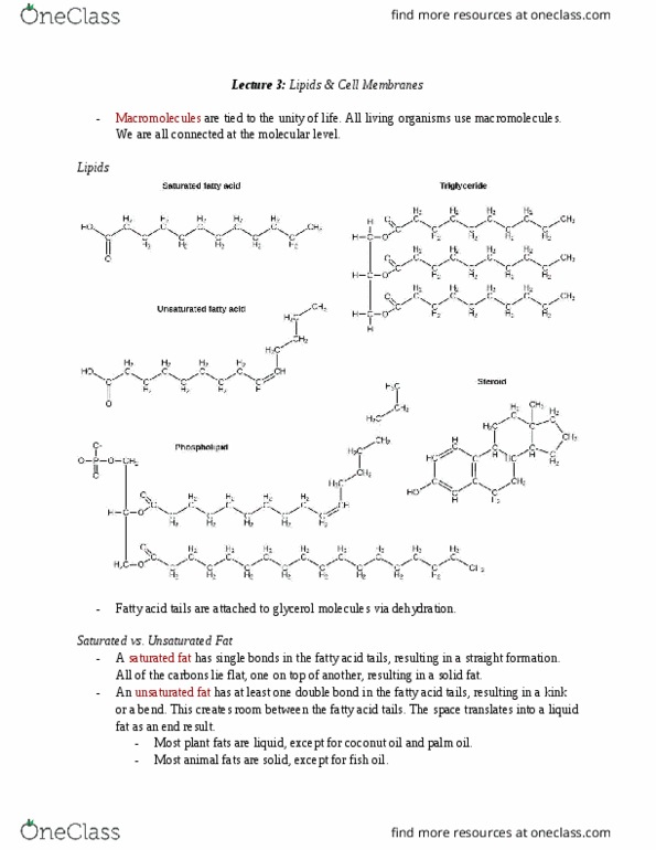 document preview image