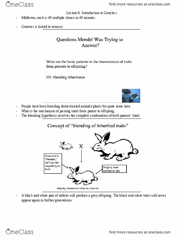 BIO152H5 Lecture Notes - Lecture 6: Phenotype, Selective Breeding, Zygote thumbnail