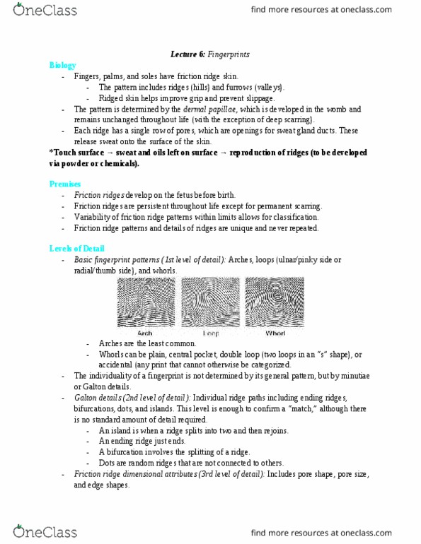 FSC239Y5 Lecture Notes - Lecture 6: Fetus, Eccrine Sweat Gland, Loop Jump thumbnail