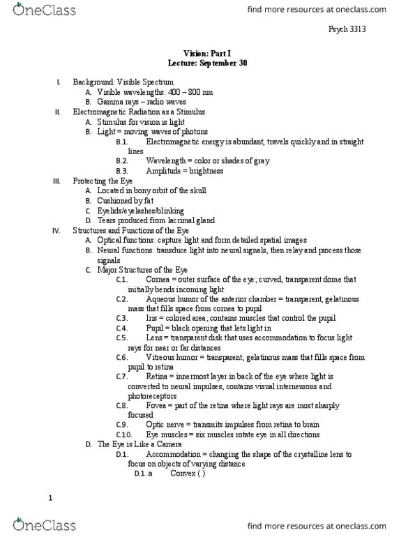 PSYCH 3313 Lecture Notes - Lecture 11: Scotopic Vision, Lacrimal Gland, Aqueous Humour thumbnail