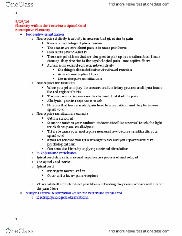 PSYC 340 Lecture Notes - Lecture 8: Grey Matter, Key Light, Posterior Grey Column thumbnail