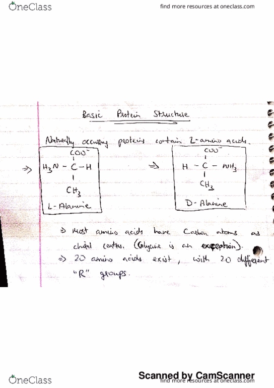 BIO 112 Lecture 11: BIO 112 - Lecture 11 thumbnail