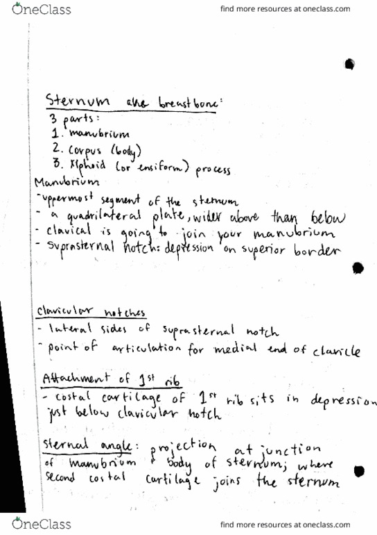 COMM-DIS 211 Lecture Notes - Lecture 3: Rimal, Suprasternal Notch, Symphysis thumbnail