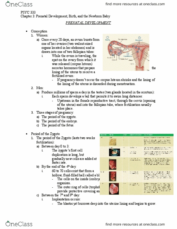 PSYC 333 Chapter Notes - Chapter 3: Doula, Clear-Channel Station, Toxoplasmosis thumbnail