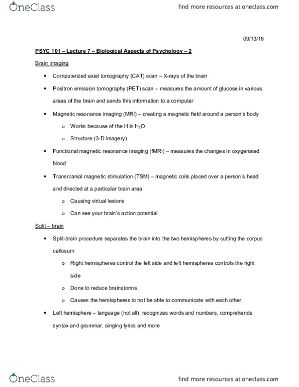 PSYC 101 Lecture Notes - Lecture 7: Functional Magnetic Resonance Imaging, Positron Emission Tomography, Magnetic Resonance Imaging thumbnail