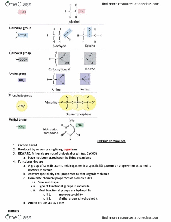 BIOL-1030 Lecture Notes - Lecture 3: Lactose Intolerance, Dehydration Reaction, Biomolecule thumbnail