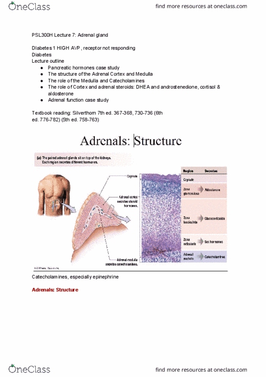 PSL300H1 Lecture Notes - Lecture 7: Dopamine Beta-Hydroxylase, Adrenergic Receptor, Adrenal Cortex thumbnail