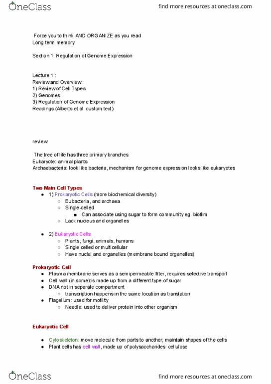 BIO230H1 Lecture Notes - Lecture 1: Eukaryotic Translation, Symbiogenesis, Transcriptome thumbnail