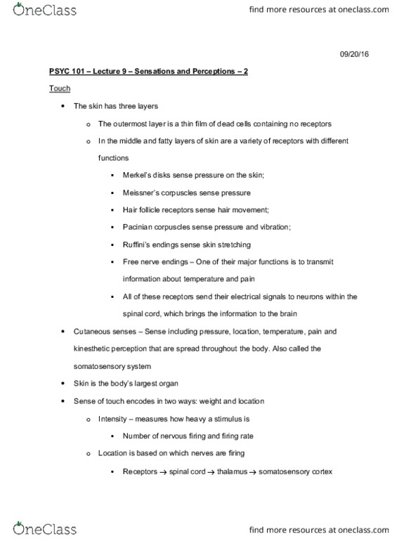 PSYC 101 Lecture Notes - Lecture 9: Lamellar Corpuscle, Proprioception, Hair Follicle thumbnail
