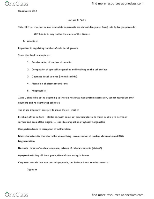 CAS BI 525 Lecture Notes - Lecture 3: Nuclear Membrane, Surface 3, Superoxide thumbnail