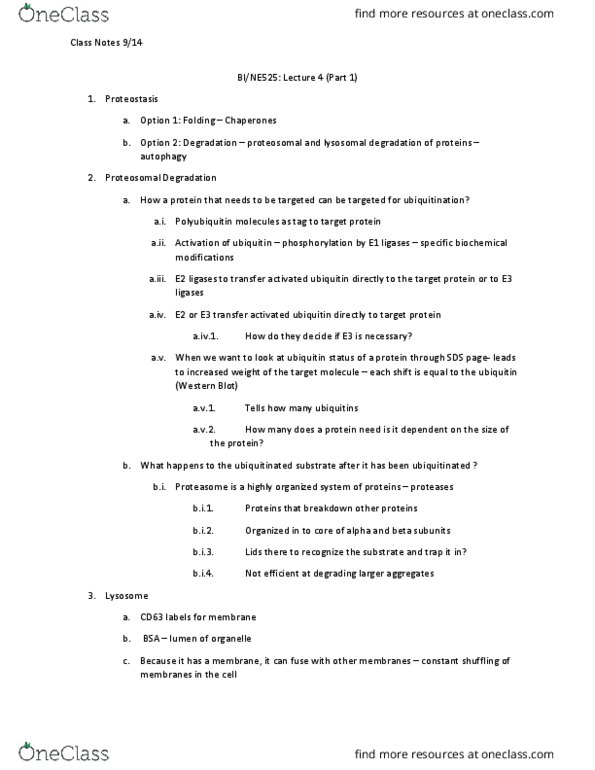 CAS BI 525 Lecture Notes - Lecture 4: Ubiquitin, Cd63, Western Blot thumbnail