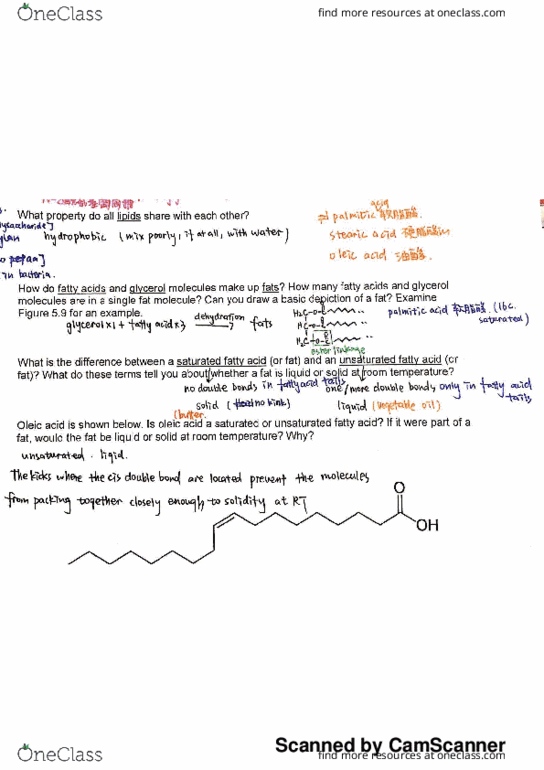 BIO SCI 93 Lecture 3: bio 93 reading guide 3-lipid&protein thumbnail