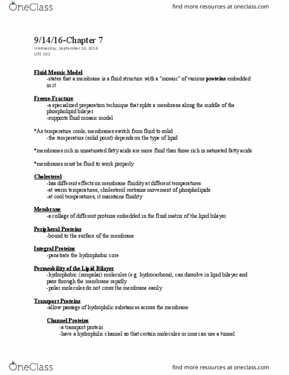 LIFE 102 Lecture Notes - Lecture 13: Fluid Mosaic Model, Lipid Bilayer, Passive Transport thumbnail