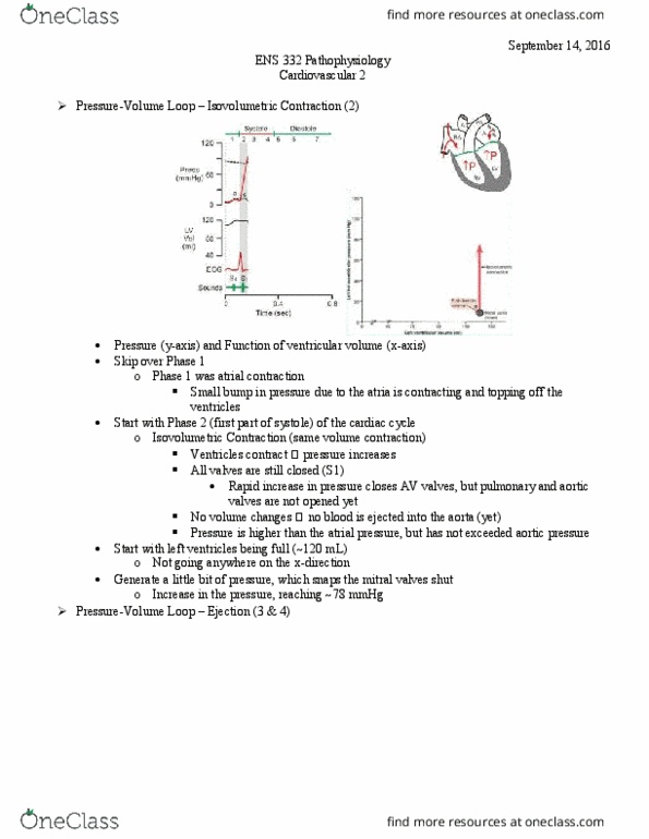 ENS 332 Lecture 5: Cardiovascular 2 thumbnail