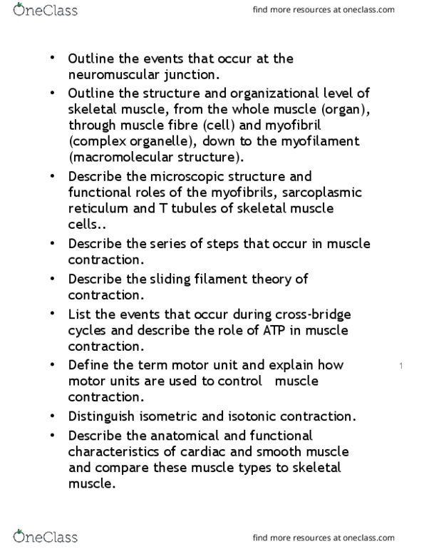 NURS150 Lecture Notes - Lecture 10: Sliding Filament Theory, Endoplasmic Reticulum, Neuromuscular Junction thumbnail