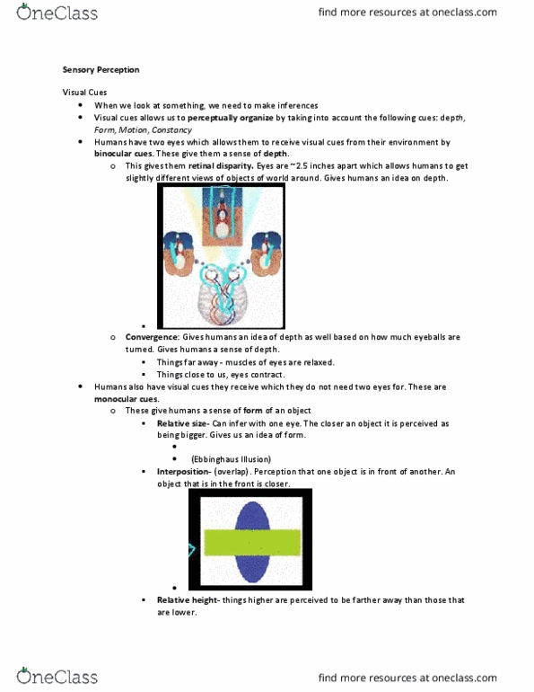 Psychology 1000 Lecture Notes - Lecture 1: Proprioception, Eardrum, Neural Adaptation thumbnail