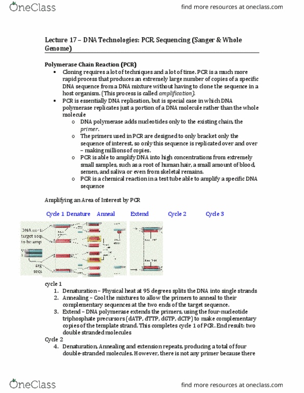 Biology 1201A Lecture Notes - Lecture 17: Shotgun Sequencing, Polyacrylamide Gel Electrophoresis, Polymerase Chain Reaction thumbnail