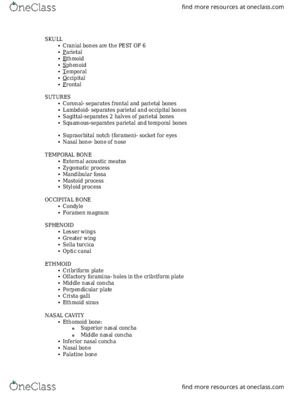 BIOL 243L Lecture Notes - Lecture 4: Costal Cartilage, Vomer, Infraorbital Foramen thumbnail