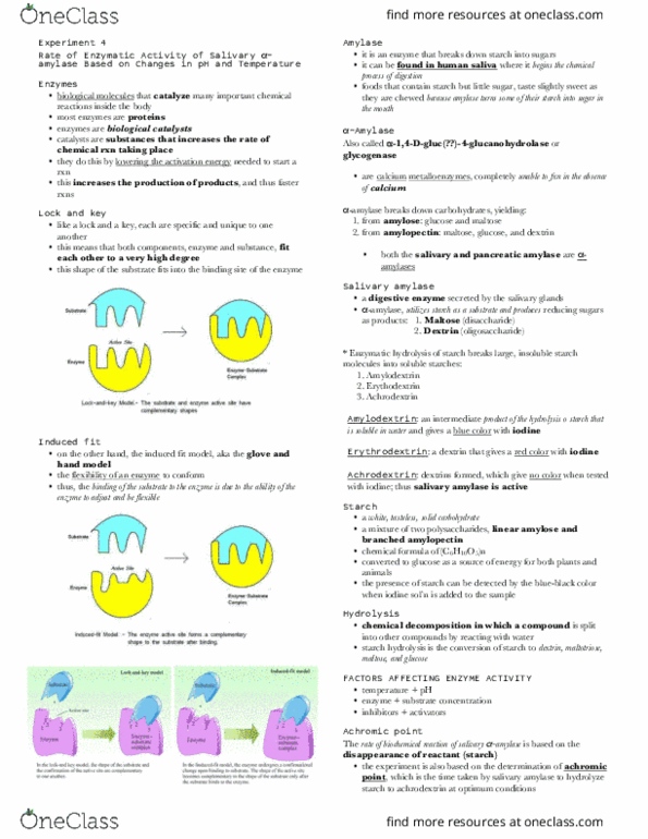 RLT 48500 Lecture Notes - Lecture 2: Activation Energy, Ionic Bonding, Maltose thumbnail