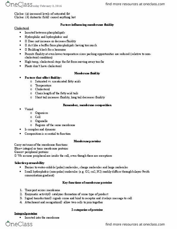 BIOL 1000 Lecture Notes - Lecture 11: Passive Transport, Aquaporin, Alpha Helix thumbnail