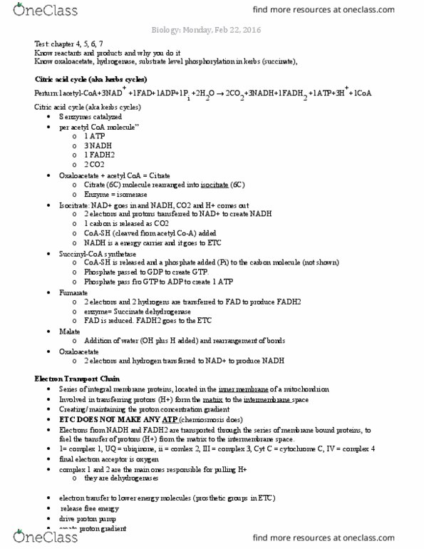 BIOL 1000 Lecture Notes - Lecture 15: Lactic Acid, Mitochondrion, Atp Synthase thumbnail