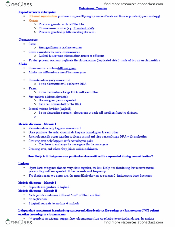 BIOL 1000 Lecture Notes - Lecture 21: Mutation, Genetic Code, Normal Number thumbnail