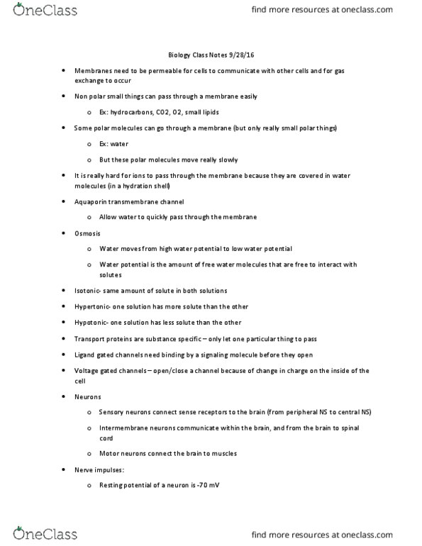 BIO 311C Lecture Notes - Lecture 14: Chemical Potential, Resting Potential, Active Transport thumbnail