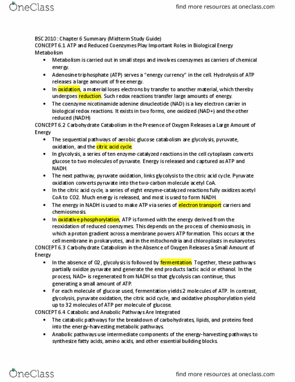 BSC 2010 Chapter Notes - Chapter 6: Glyceraldehyde, Gluconeogenesis, 3-Phosphoglyceric Acid thumbnail